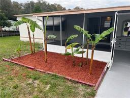 Picture of 9124 Kosimo Street, New Port Richey, FL 34654