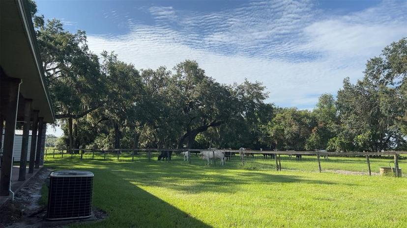 Picture of 4880 Bannon Island Road, Haines City FL 33844