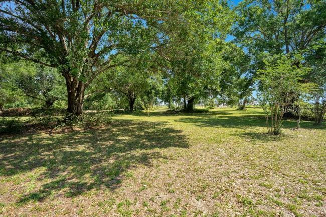 Picture of 2026 N Lakewood Avenue, Ocoee FL 34761