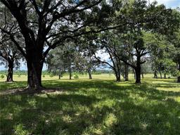 Picture of 16470 N Us Highway 27, Williston, FL 32696