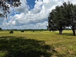 Picture of 16470 N Us Highway 27, Williston, FL 32696