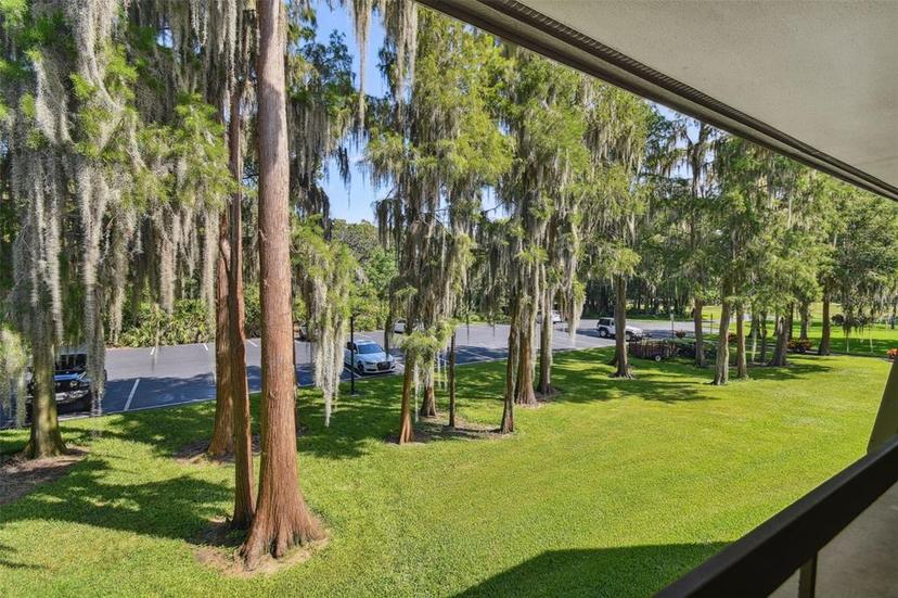 Picture of 36750 Us Highway 19 N Unit 04239, Palm Harbor FL 34684