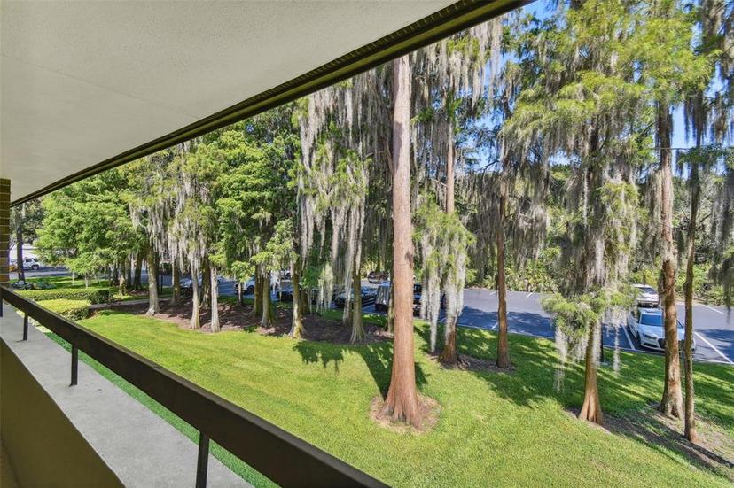 Picture of 36750 Us Highway 19 N Unit 04239, Palm Harbor FL 34684