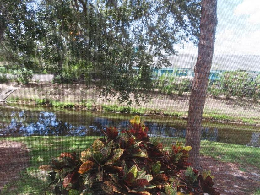 Picture of 2341 Lake Heather Heights Court Unit 2341, Dunedin FL 34698
