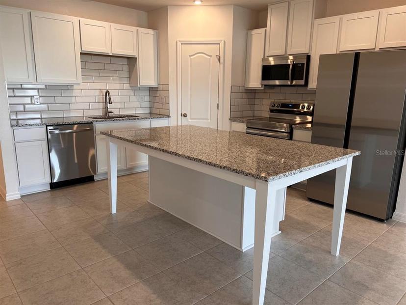 Picture of 10719 Ironwood Tree Way, San Antonio FL 33576