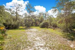 Picture of 615 Eden Drive, Saint Cloud, FL 34771