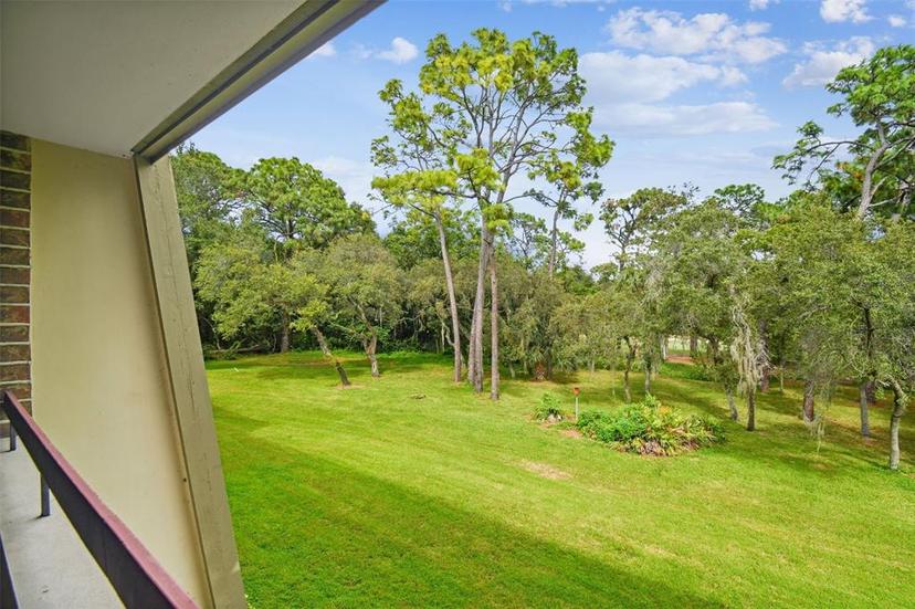 Picture of 36750 Us Highway 19 N Unit 24211, Palm Harbor FL 34684