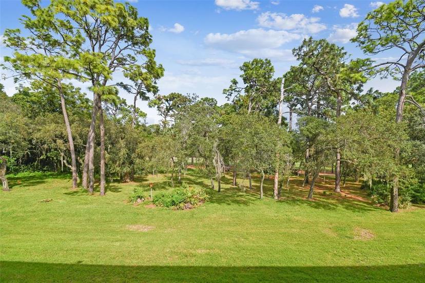 Picture of 36750 Us Highway 19 N Unit 24211, Palm Harbor FL 34684