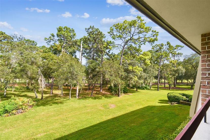 Picture of 36750 Us Highway 19 N Unit 24211, Palm Harbor FL 34684