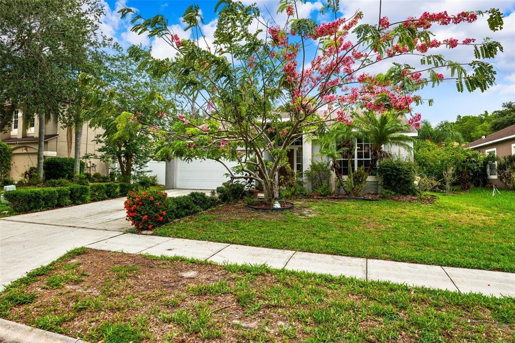 Picture of 4931 Ridgemoor Circle, Palm Harbor, FL 34685