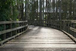 Picture of 29129 Bay Hollow Drive Unit 3208, Wesley Chapel, FL 33543
