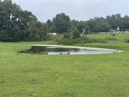 Picture of 16110 S Magnolia Avenue, Summerfield, FL 34491