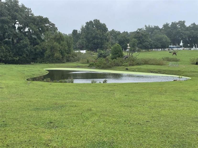 Picture of 16110 S Magnolia Avenue, Summerfield FL 34491
