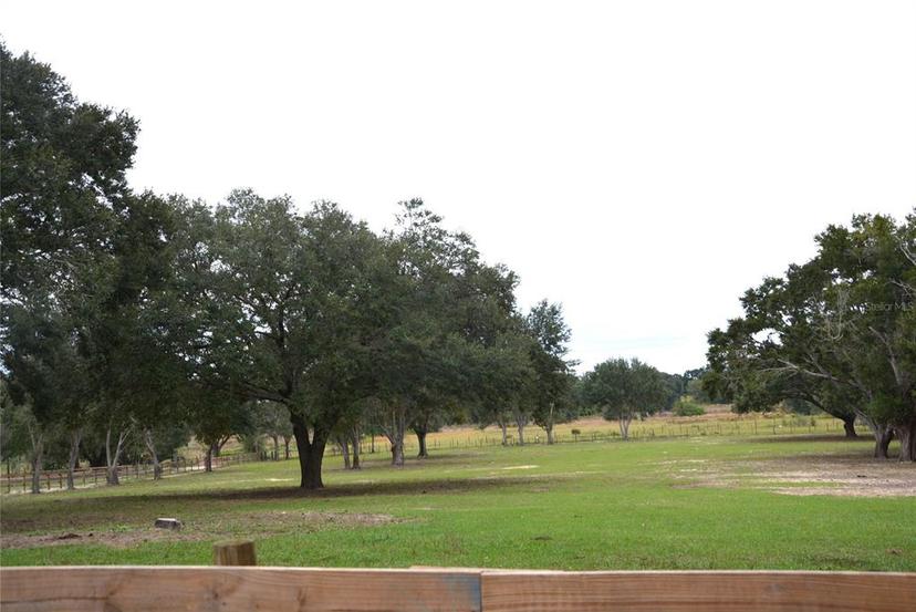 Picture of 3816 Lake Brite Street, Groveland FL 34736