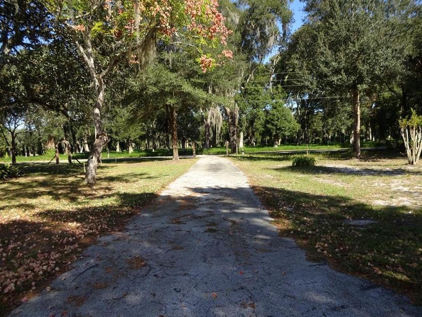 Picture of 207 E 2Nd Avenue, Pierson FL 32180