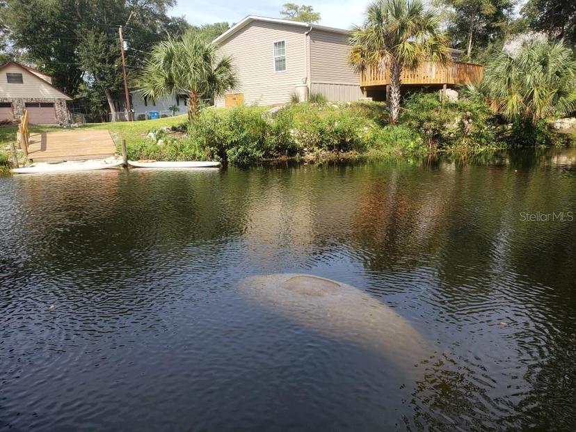 Picture of 6300 Theodan Street, Weeki Wachee FL 34607