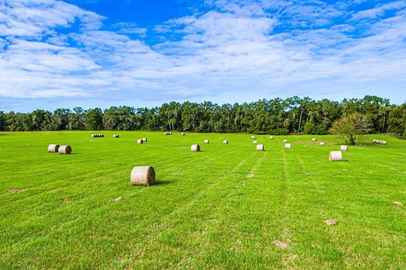 Picture of 4450 NE 155 Avenue, Williston FL 32696