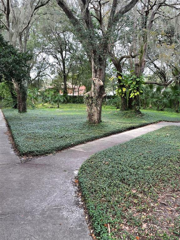 Picture of 6010 Laketree Lane Unit L, Temple Terrace FL 33617