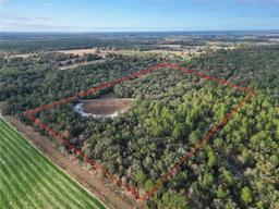 Picture of 10431 NE 32Nd Lane, Bronson, FL 32621