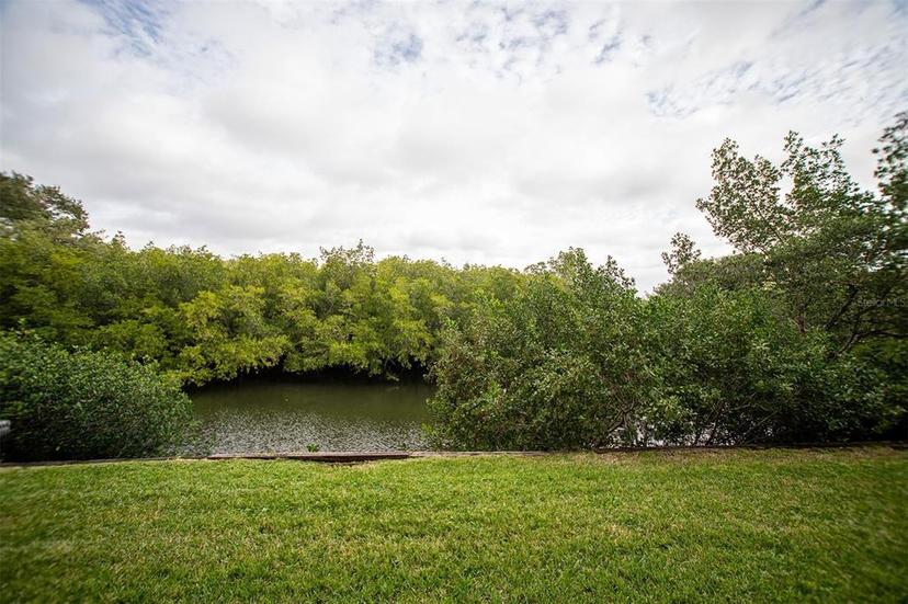 Picture of 900 Cove Cay Drive Unit 1D, Clearwater FL 33760