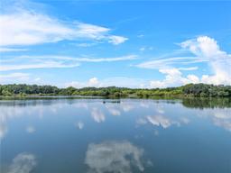 Picture of 4541 Fairway Oaks Drive, Mulberry, FL 33860