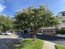 Picture of 240 Windward Passage Unit 504, Clearwater, FL 33767