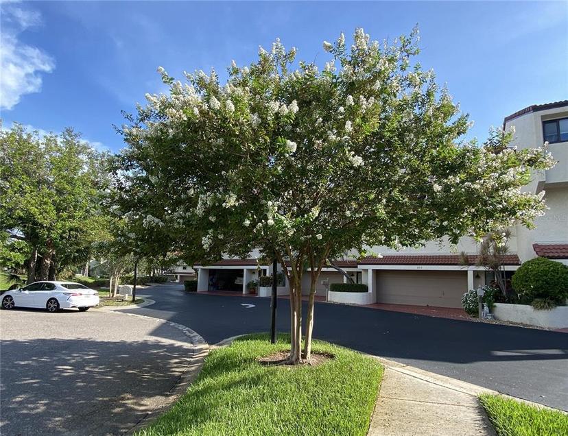 Picture of 240 Windward Passage Unit 504, Clearwater FL 33767
