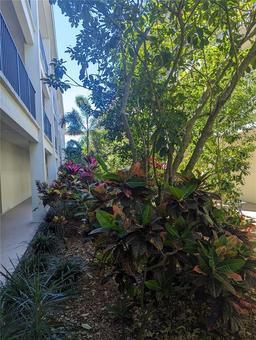 Picture of 2700 Bayshore Boulevard Unit 5109, Dunedin, FL 34698