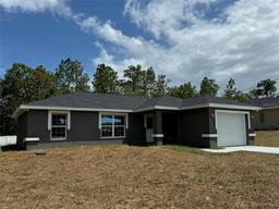 Picture of 235 Locust Lane, Ocala, FL 34472