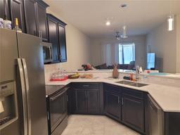 Picture of 1054 Quaker Ridge Lane, Davenport, FL 33896