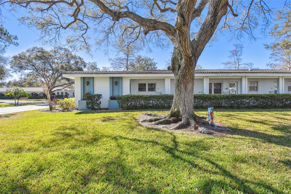 Picture of 11200 102Nd Avenue Unit 51, Seminole, FL 33778