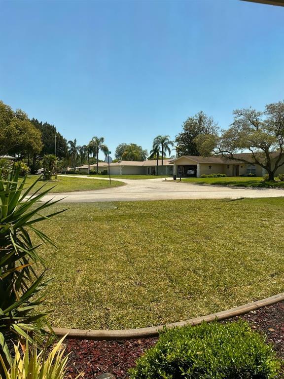 Picture of 10911 Hachita Drive, Port Richey FL 34668