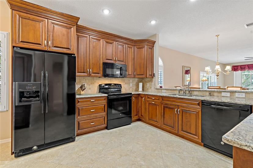 Picture of 1383 Dartford Drive, Tarpon Springs FL 34688