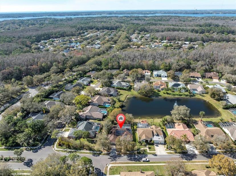 Picture of 4486 Berisford Boulevard, Palm Harbor FL 34685