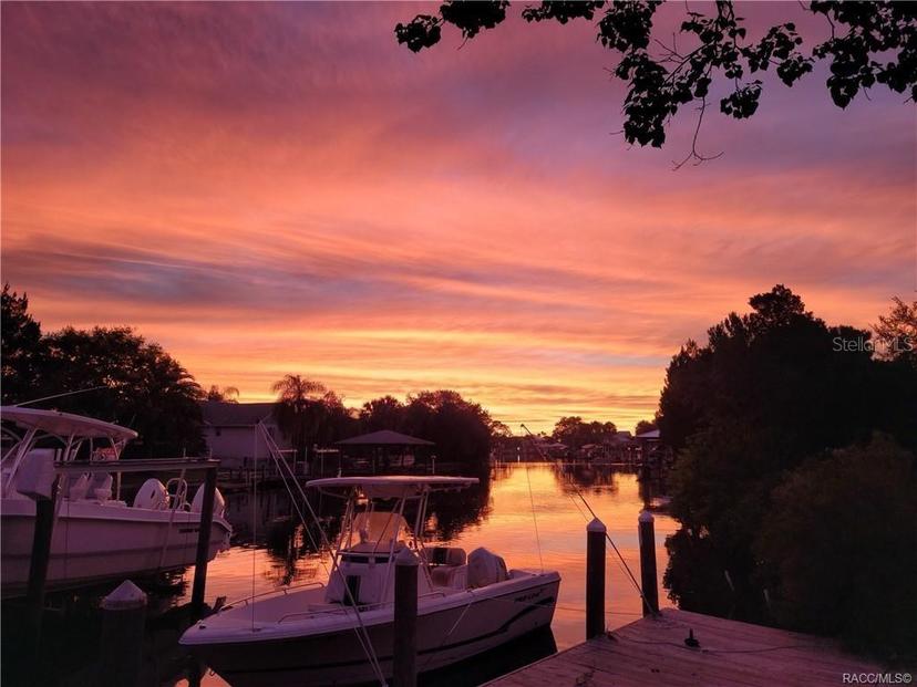 Picture of 11684 W Sunnybrook Court, Crystal River FL 34429