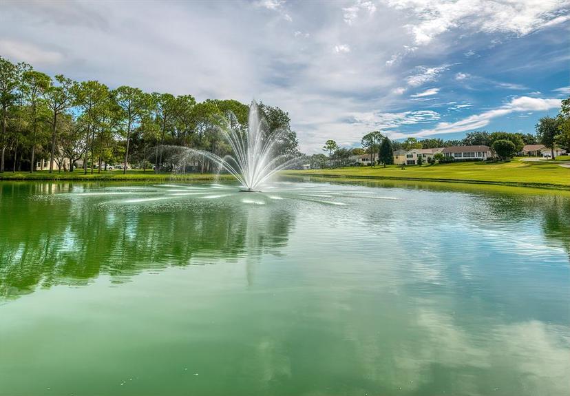 Picture of 6460 Pine Meadows Drive, Spring Hill FL 34606
