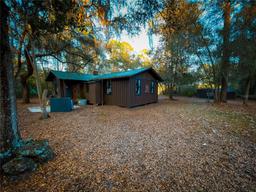 Picture of 10851 SE 190Th Court, Ocklawaha, FL 32179