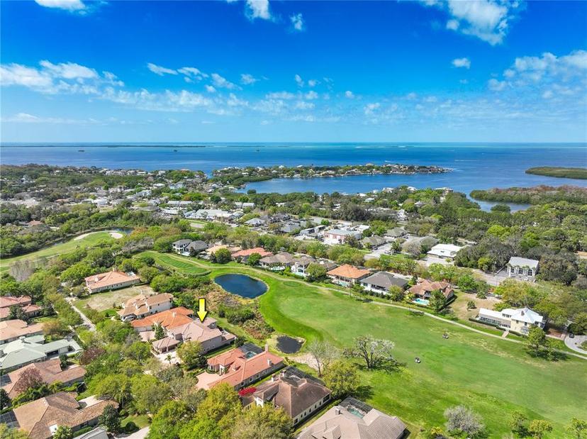 Picture of 898 Skye Lane, Palm Harbor FL 34683