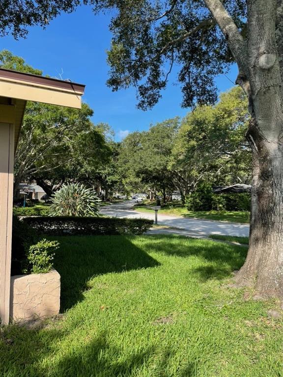 Picture of 2275 Willowbrook Drive, Clearwater FL 33764