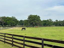 Picture of 4101 NW 89Th Place, Ocala, FL 34482