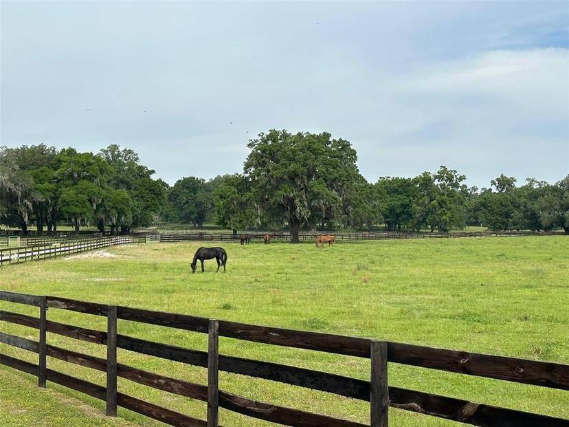Picture of 4101 NW 89Th Place, Ocala FL 34482