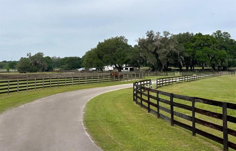 Picture of 4101 NW 89Th Place, Ocala FL 34482
