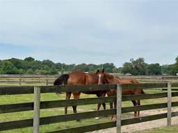 Picture of 4101 NW 89Th Place, Ocala, FL 34482