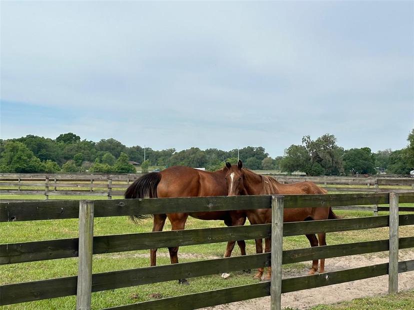 Picture of 4101 NW 89Th Place, Ocala FL 34482
