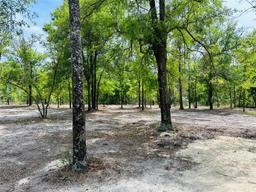 Picture of 21273 Cr 49, O'Brien, FL 32071