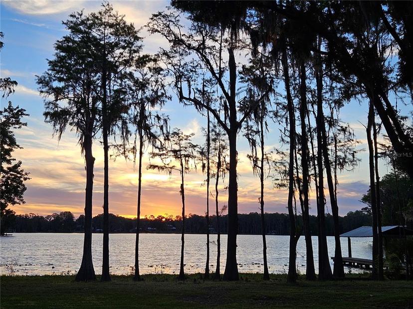 Picture of 16308 Rock Lake Drive, Odessa FL 33556
