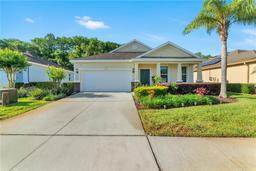 Picture of 11252 Merganser Way, New Port Richey, FL 34654