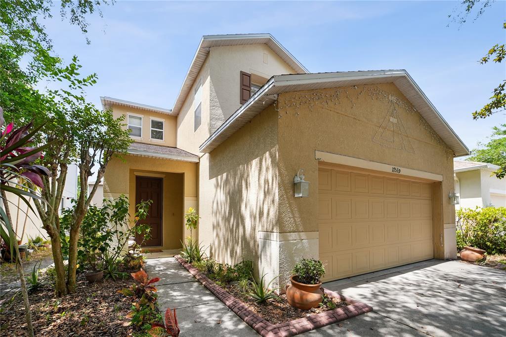 Picture of 17539 Balmaha Drive, Land O Lakes, FL 34638