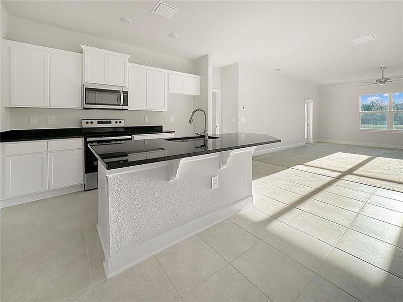 Picture of 3744 Sagefield Drive, Saint Cloud FL 34773
