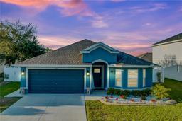 Picture of 11801 Sunder Berry Street, Hudson, FL 34667